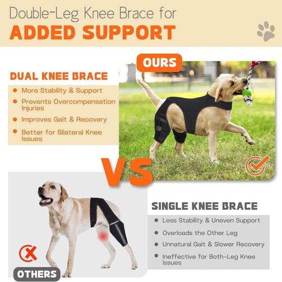 Dog Knee Brace for Hind Legs - Picture 5 of 7